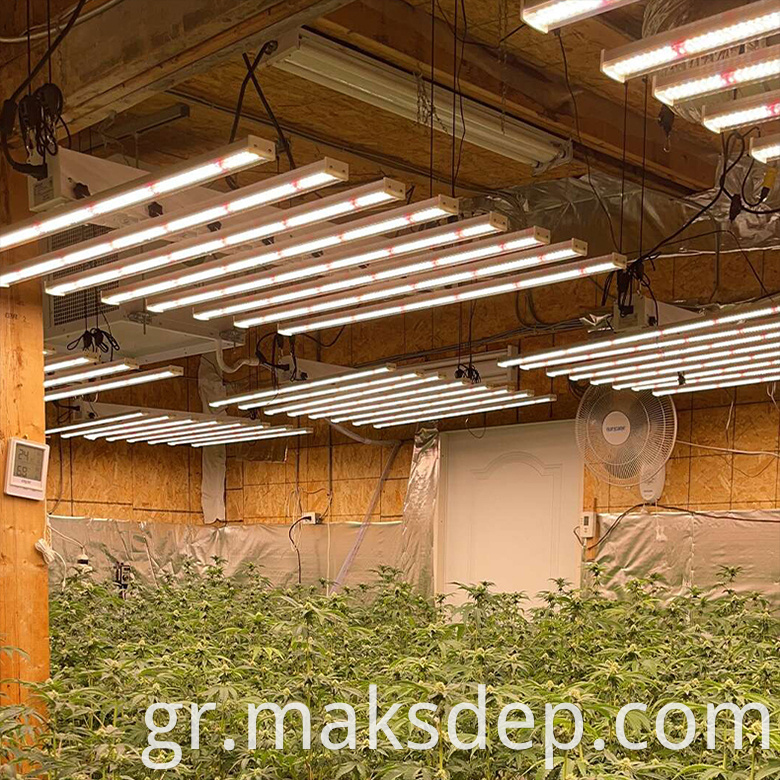 4x8 grow lights